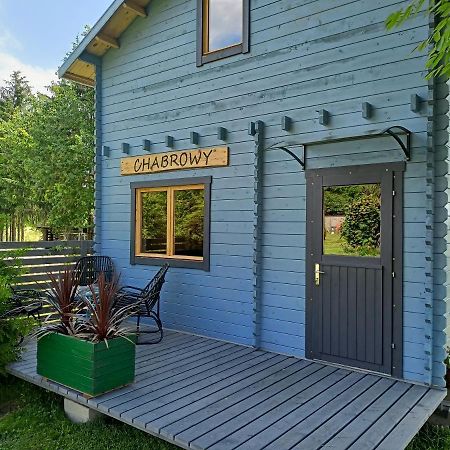 Swierkowe Siedlisko Венгожино Экстерьер фото