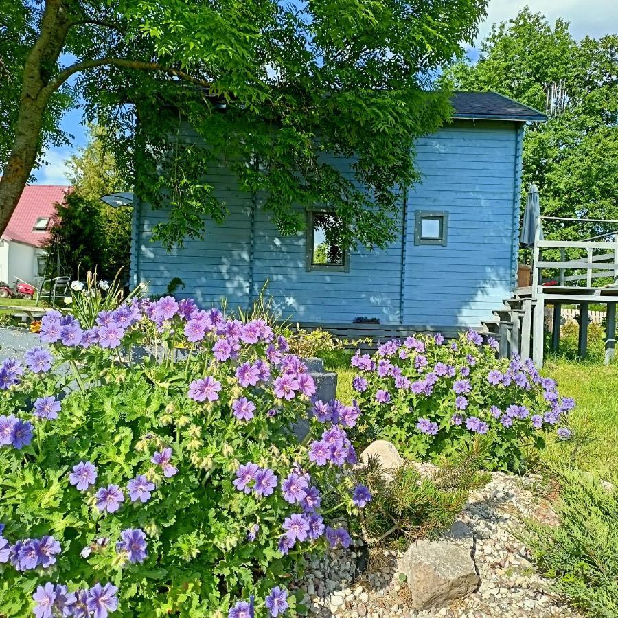 Swierkowe Siedlisko Венгожино Экстерьер фото